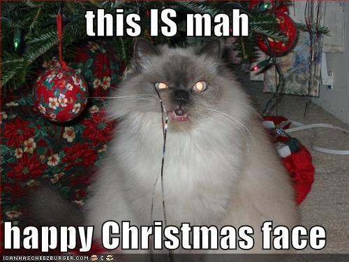 funny pictures my happy christmas face